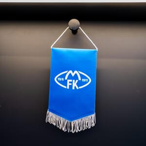 Liten vimpel med logo